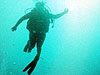 Scuba Diving in Fernando de Noronha