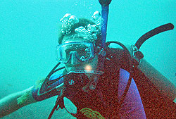 Fernando de Noronha Scuba Diving