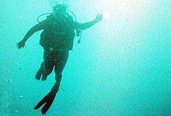 Fernando de Noronha Scuba Diving