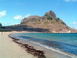 Turtle Beach Fernando de Noronha Brazil