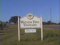 Witness Tree Sign