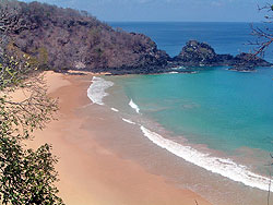 Dolphin Cove - Fernando de Noronha Brazil