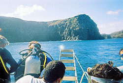 Diving at Macaxeira in Fernando de Noronha