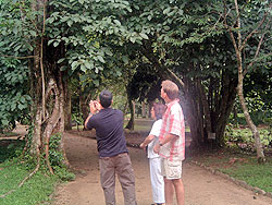 Jardim Botanico Rio de Janeiro