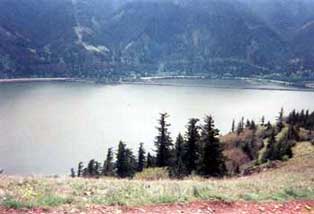 A view from the Dog Mountain Trail