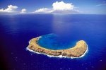 Molokini Crater Snorkeling