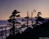 Cannon Beach