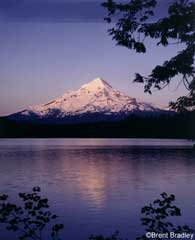 Mt. Hood