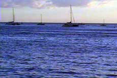 Lahaina Harbor