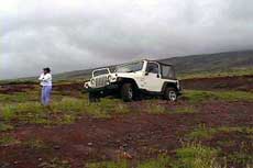 Sandra on Maui's South Side