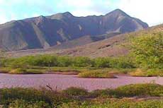 West Maui Mountains