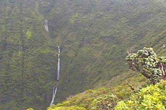 Waikolu Canyon from the Waikolu Overlook