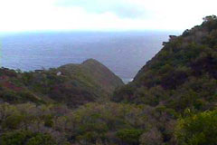 Overlooking Halawa Bay