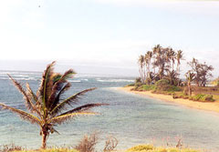 Halawa Bay