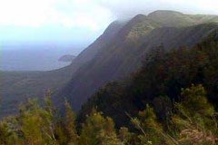 The Kaluapapa Trail