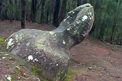 Phallic Rock at Pala'au State Park