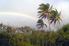 Rainbow alongside the Highway