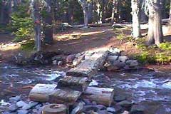 Crossing the first of three creeks on the Pole Creek trail.