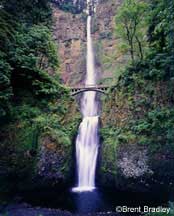 Multnomah Falls