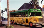 The Bus to XCaret - Pretty Wild, Huh?