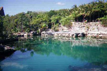 XCaret