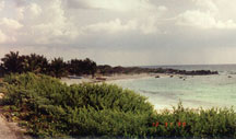 East Shore of Cozumel