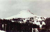Mt. Hood from Timberline Lodge