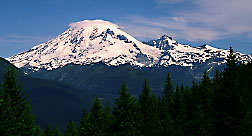 rainier