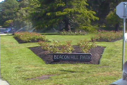 Beacon Hill Park