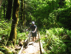 Clackamas River Mountain Biking